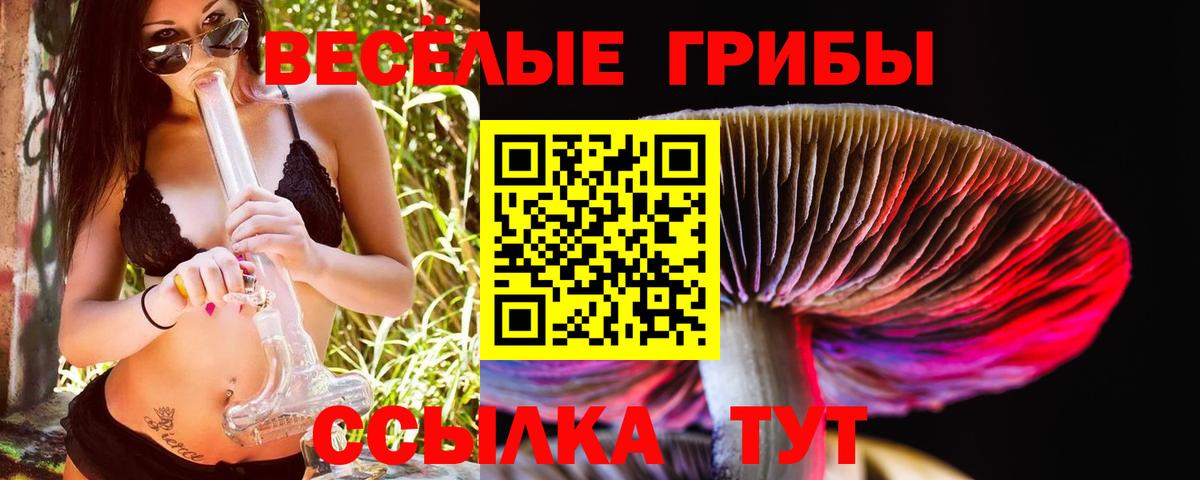 Псилоцибиновые грибы Cubensis Городец