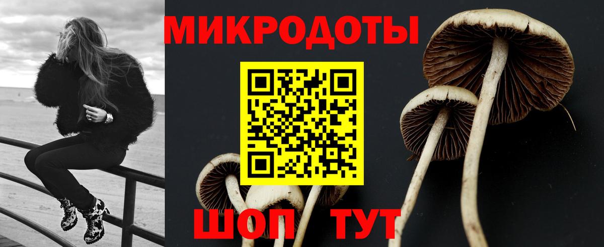 Галлюциногенные грибы Cubensis  Псилоцибиновые грибы Cubensis  Вход с VPN  Городец 